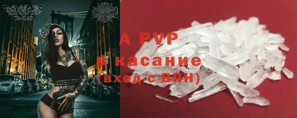 сатива Богданович