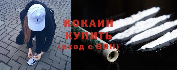 тгк Богородицк