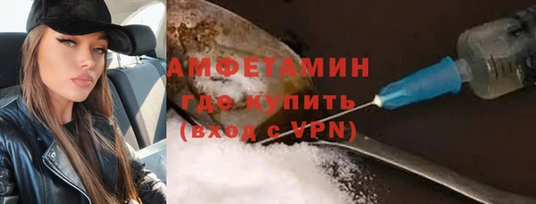 сатива Богданович