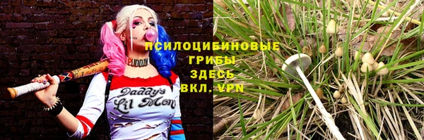 МДПВ Богородск