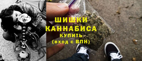 сатива Богданович