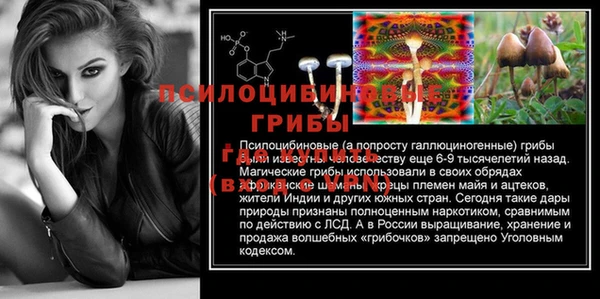 сатива Богданович