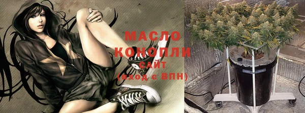 тгк Богородицк
