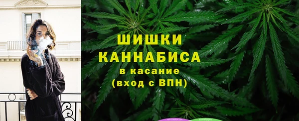 МДПВ Богородск