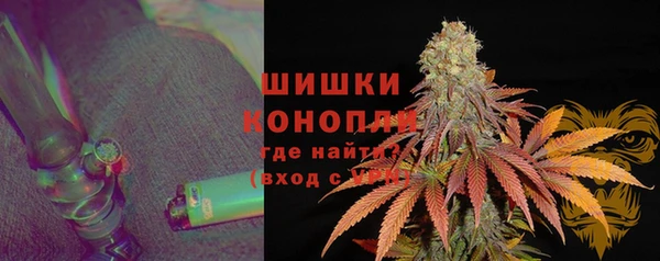 сатива Богданович
