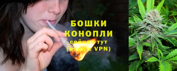 сатива Богданович